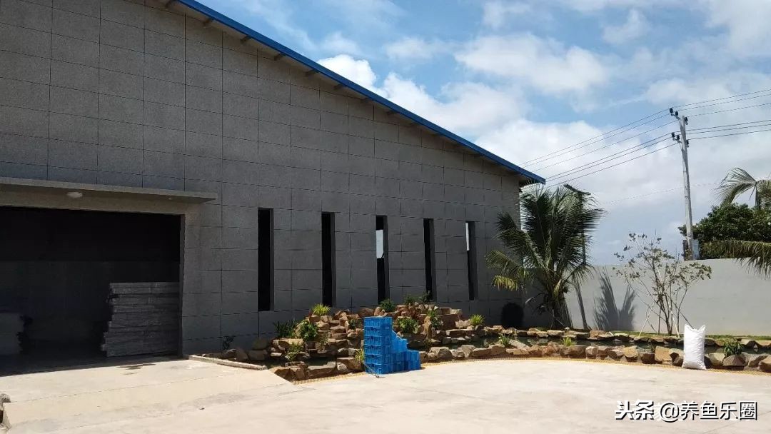 这位土豪家的渔场，光滤材就花了500多万，你确定不要见识一下？