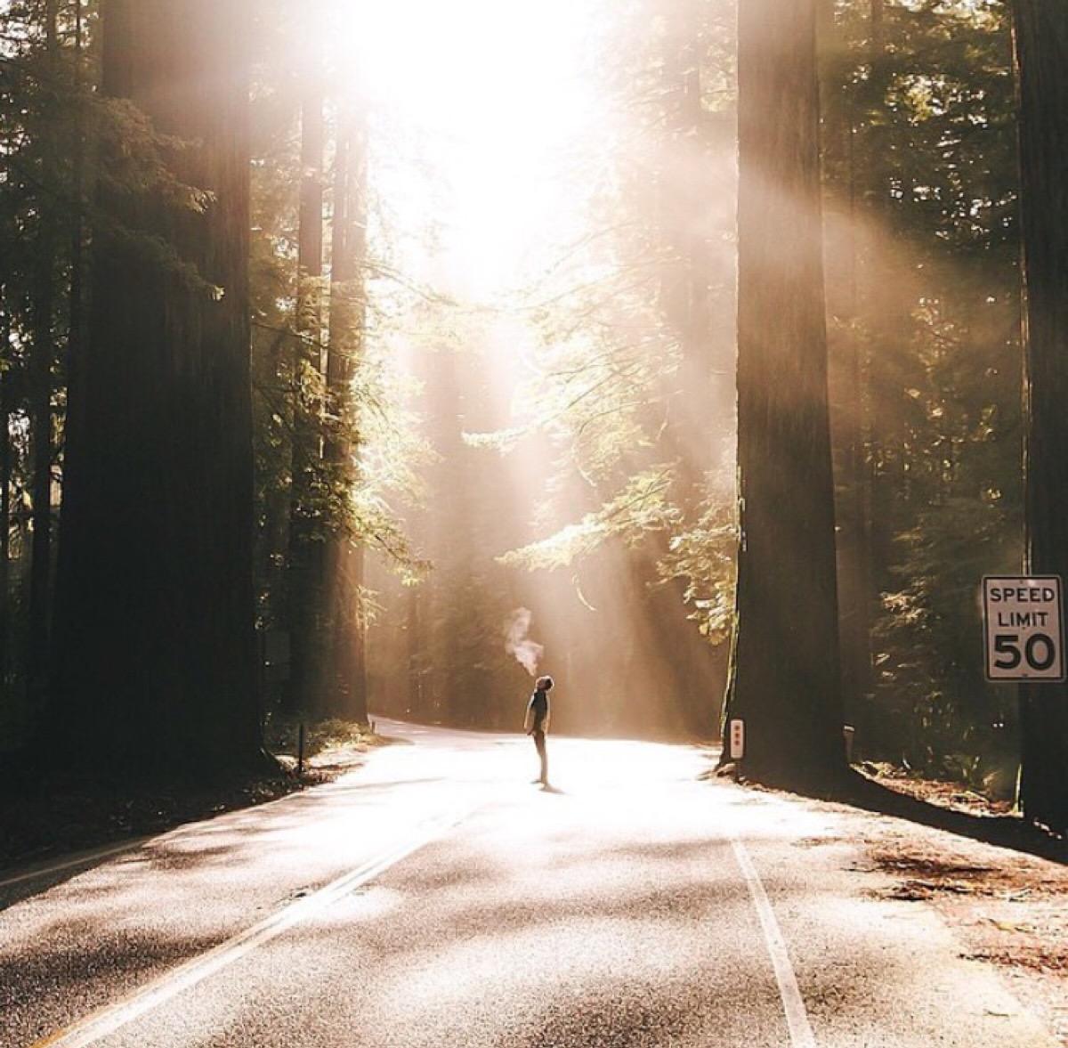 这部电影值得看：虽然有生活的辛酸，但更有生命的希望