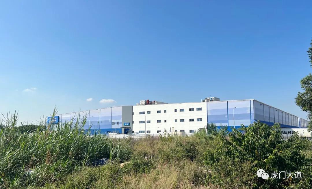 东莞新增过江通道规划,东莞过江通道规划图