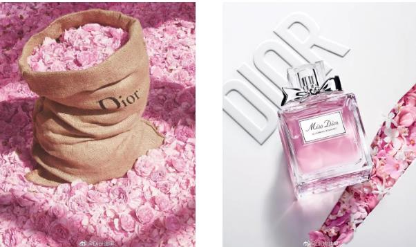 大家喜欢哪款香水,大家都喜欢的一款香水