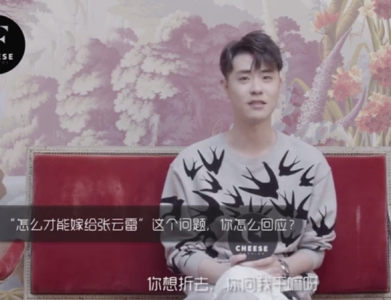 崩溃的小芝士,怎样才能嫁给张云雷看看他选女朋友标准,啥都靠抢