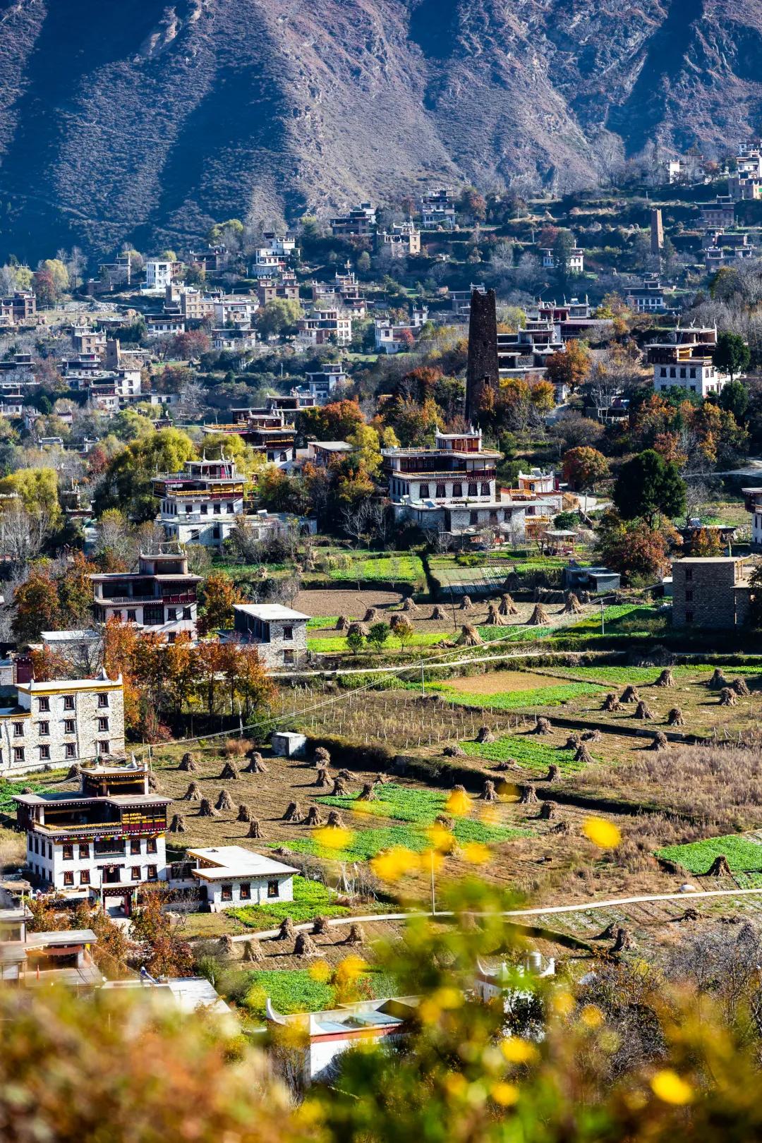 被烧之前的云南翁丁原始部落,我国最古老的村庄被烧毁