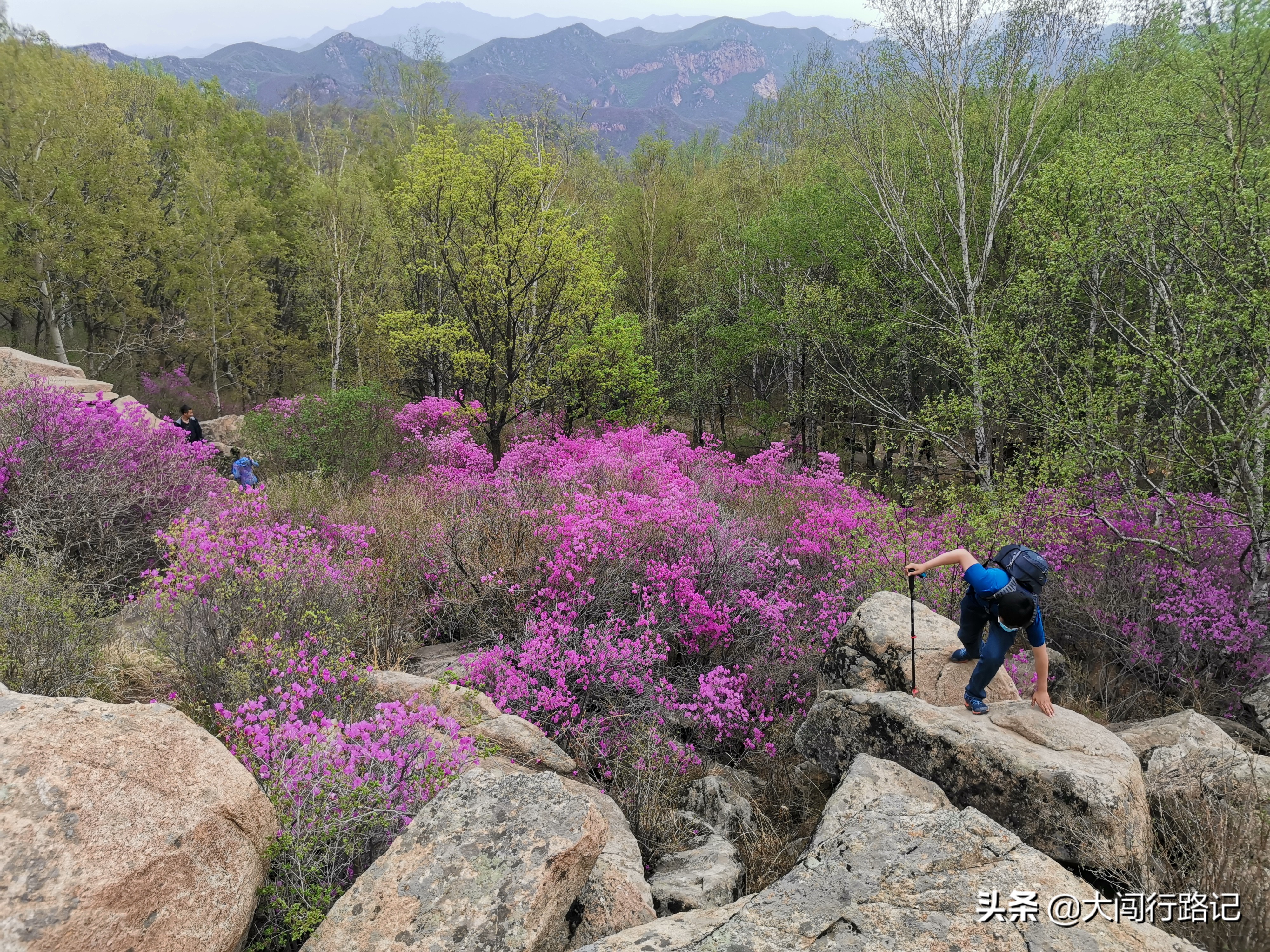 喇叭沟门原始森林游记,怀柔喇叭沟门原始森林2日自驾游