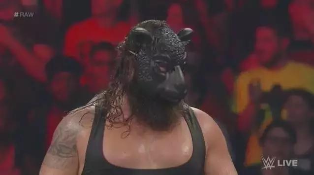 wwe毒蛇兰迪最新消息,2019wwe毒蛇兰迪全场比赛