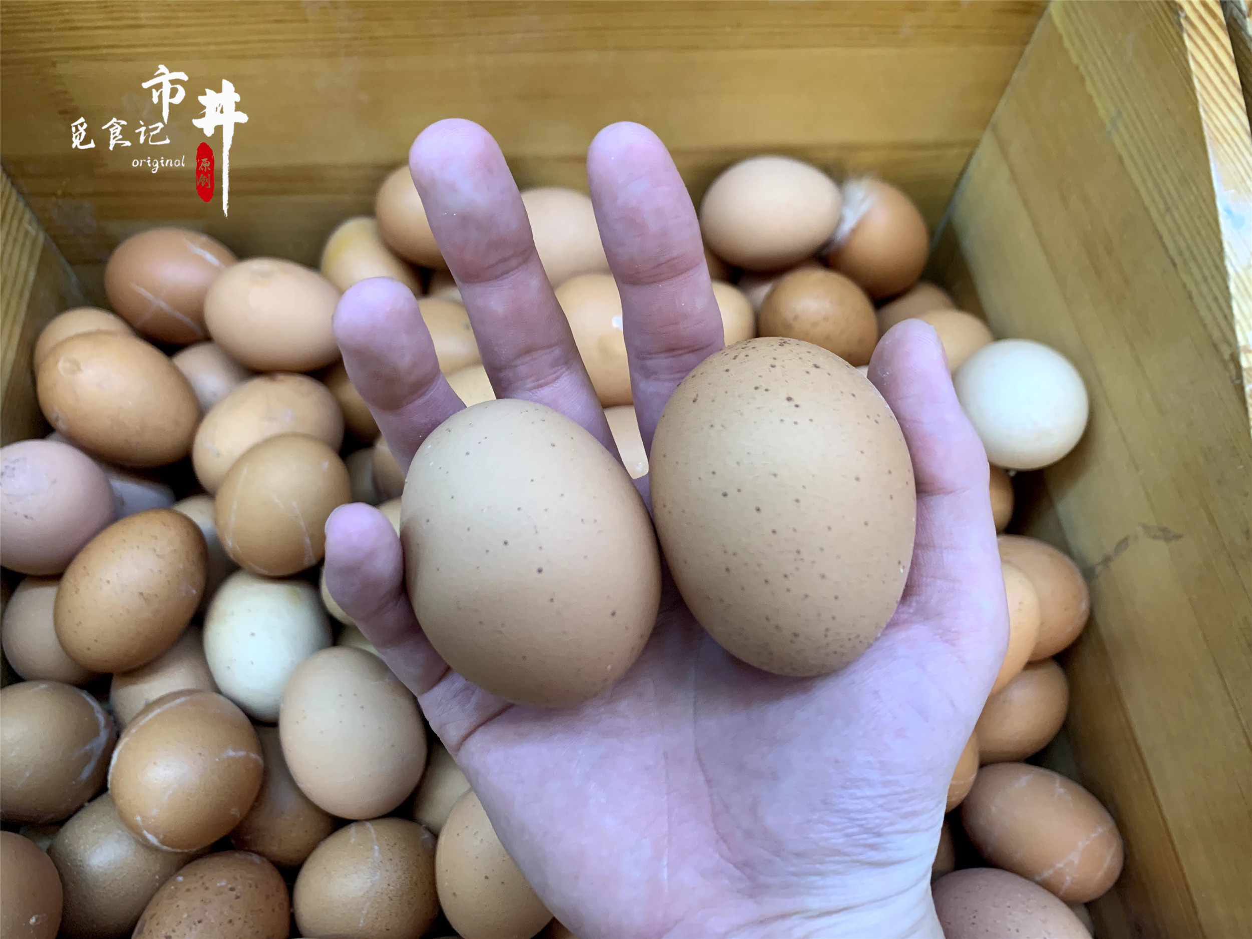 白壳鸡蛋和红壳鸡蛋哪个贵点,买鸡蛋要买壳厚的还是壳薄的