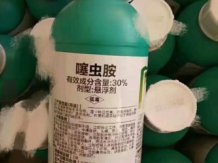 大蒜黑头蛆特效药,大蒜黑头蛆用什么药治