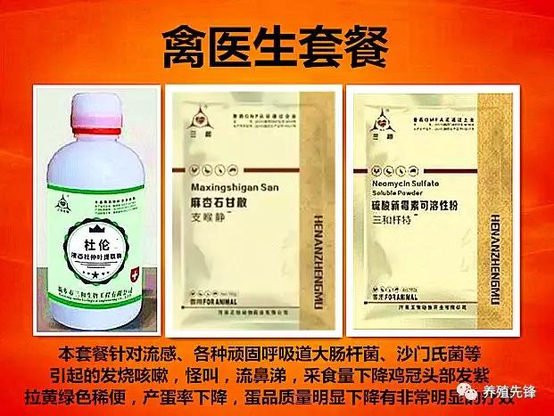 散养蛋鸡光照能延长多久,蛋鸡强制换羽能延长产蛋多久