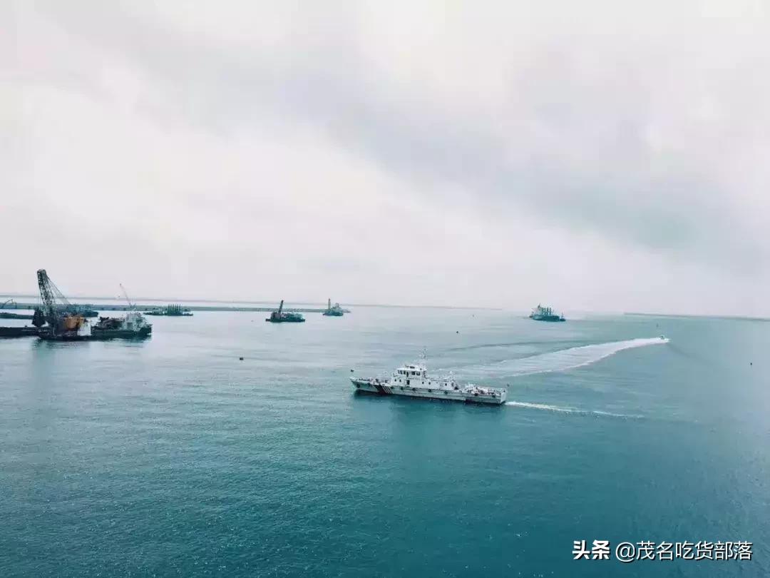 茂名这座城市被誉为什么城,茂名是一座怎样的城市