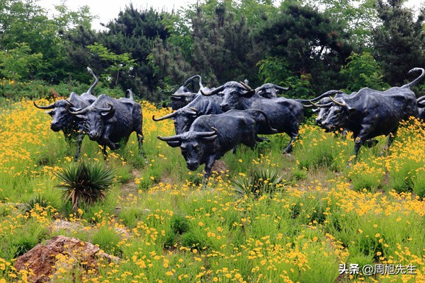 大连滨海路的美景之旅,大连海滨路旅游攻略