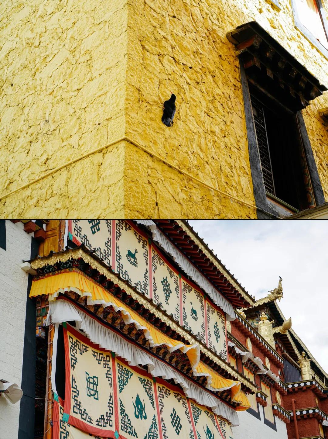 香格里拉什么人不适合去,香格里拉建议什么时间去