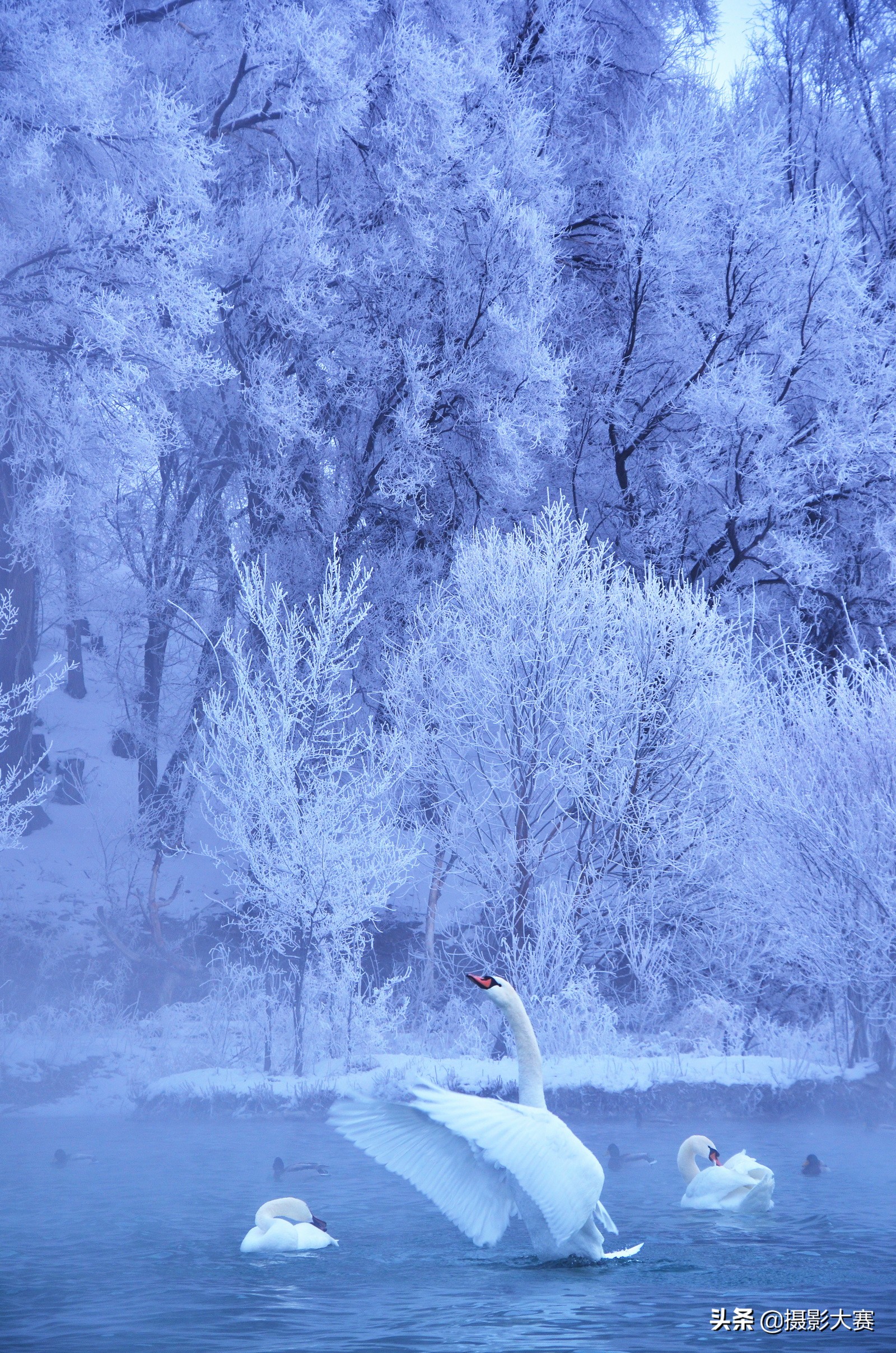 尼康摄影大赛什么时候开始,2023尼康摄影大赛官方网站