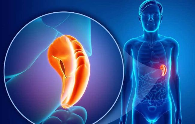 脾脏稍大有什么影响,脾脏偏大对运动有影响