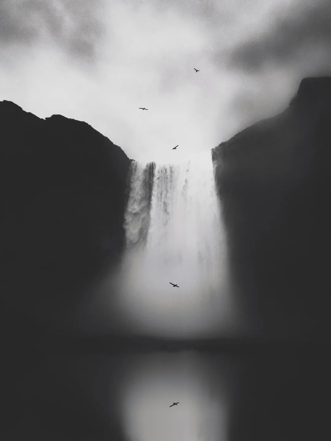 2020iphone摄影赛第一名,2019iphone摄影大赛获奖作品