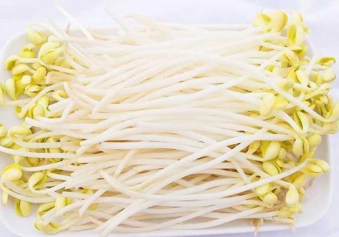 买豆芽怎么挑选,买回来的豆芽怎么快速去根