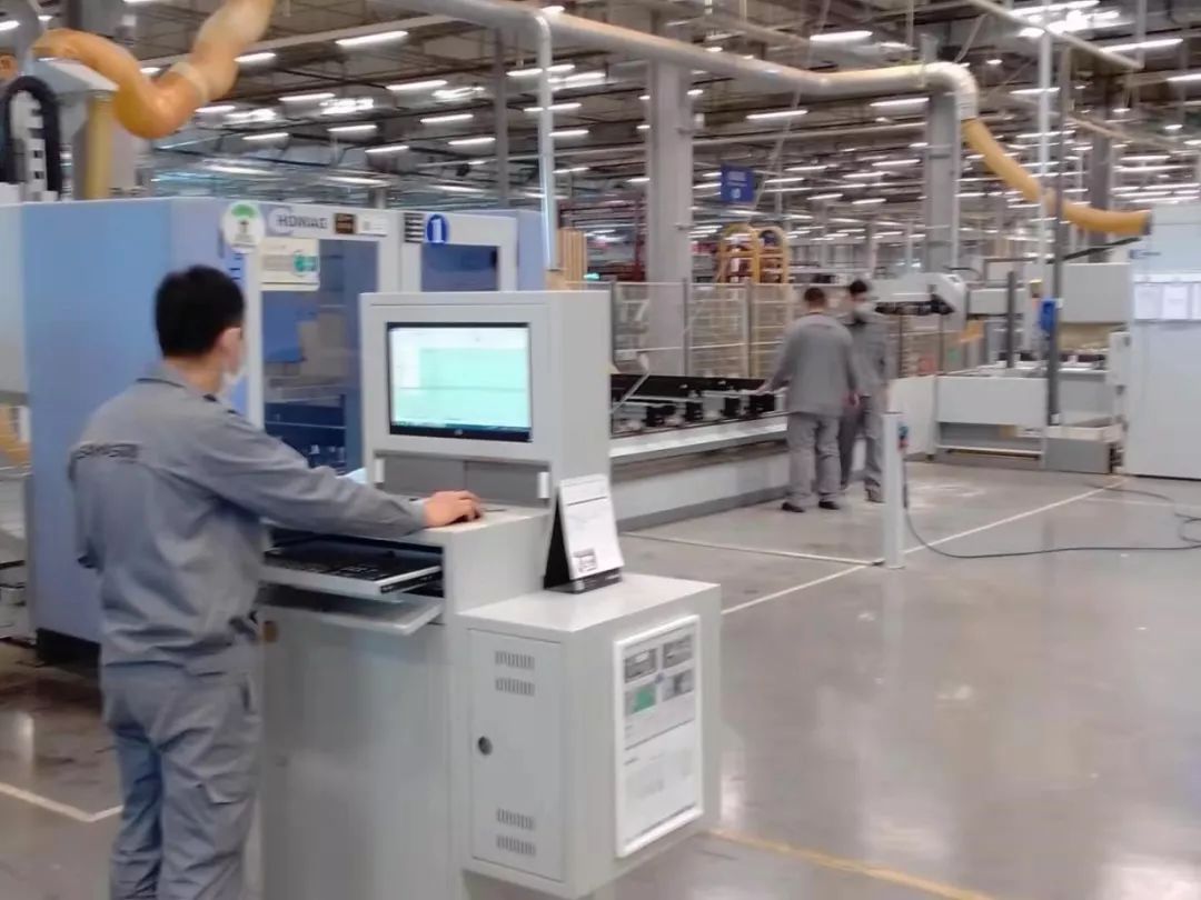 森鹰窗业数字化,森鹰窗业未来发展