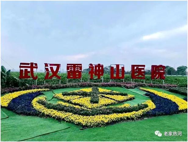 武汉抗疫女护士,女医生在武汉抗疫事迹