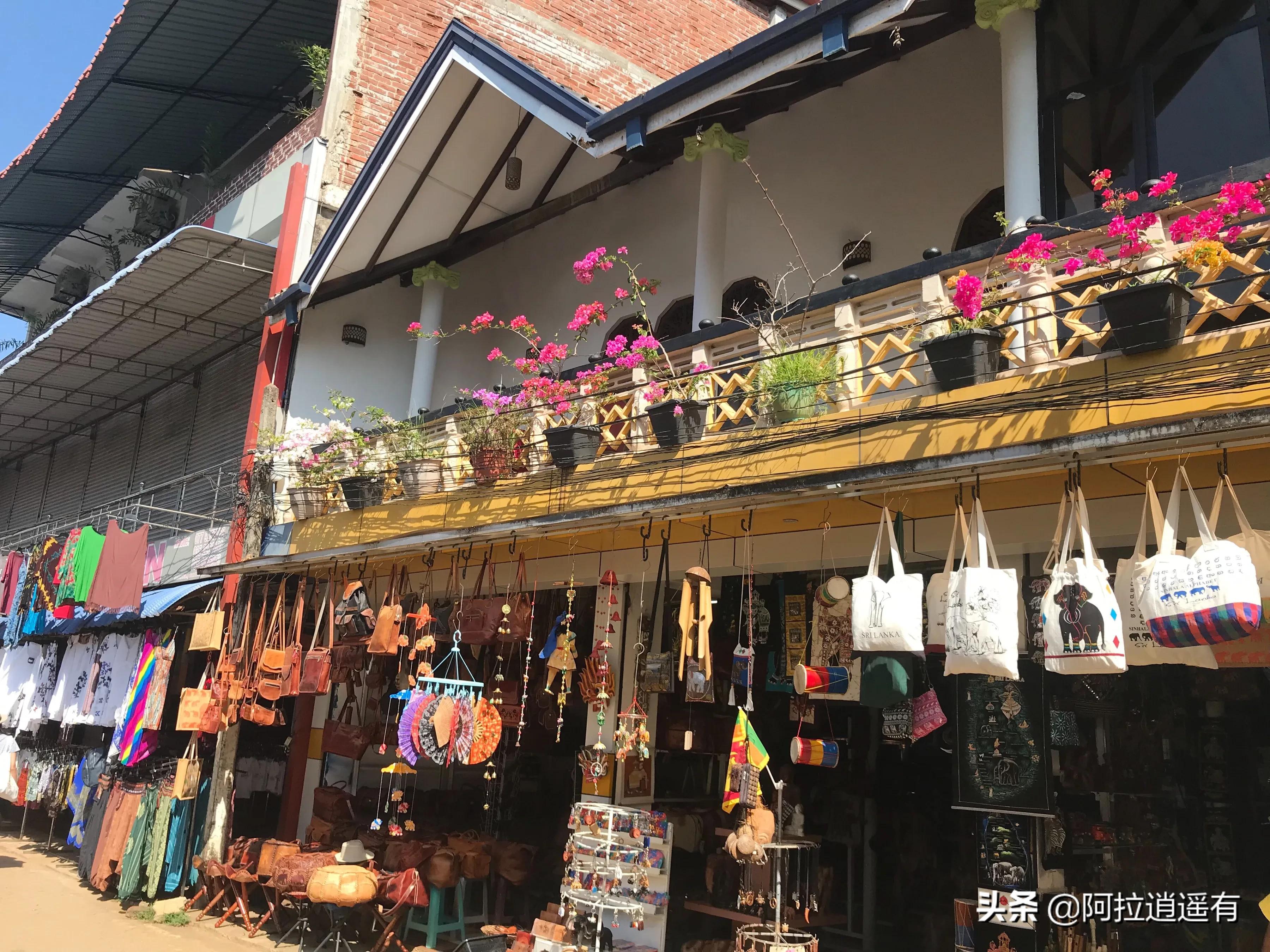 斯里兰卡大象粪便做纸,斯里兰卡大象粪便纸