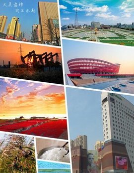 东北降龙真实故事,中国降龙事件是真的吗