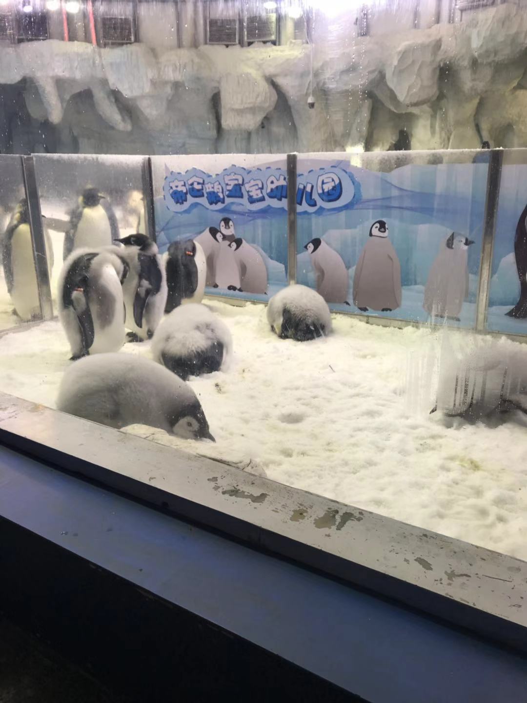 珠海长隆海洋王国亲子攻略2岁,亲子珠海长隆海洋王国一日游攻略