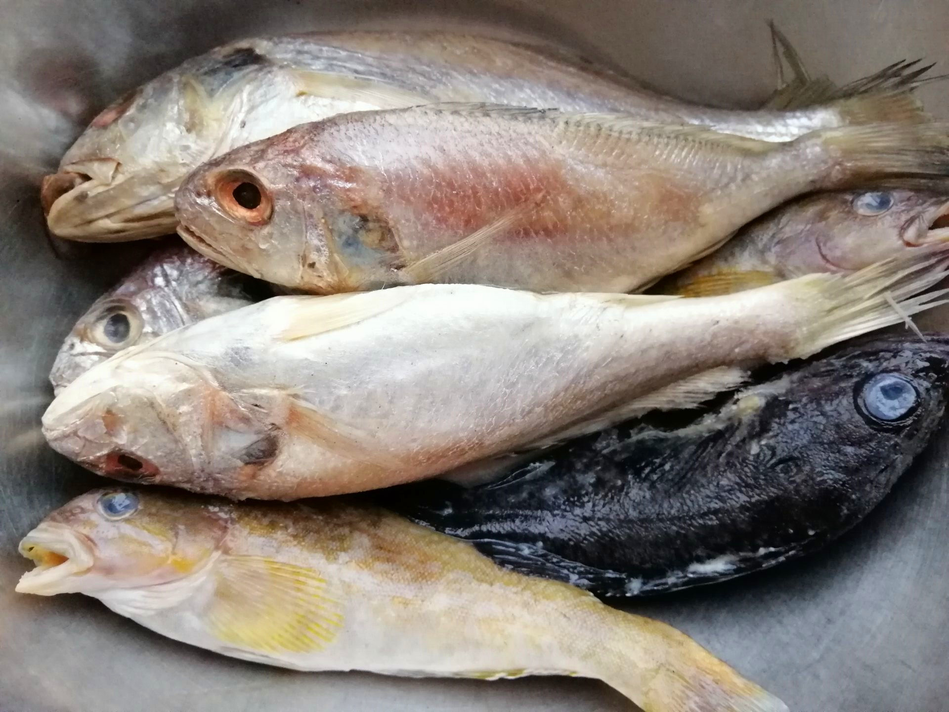 我家吃鱼从来不买,海边姑娘做”鱼“有绝招,吃一次忘不了,香