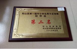 校园足球工作的成效,校园足球工作主要做法