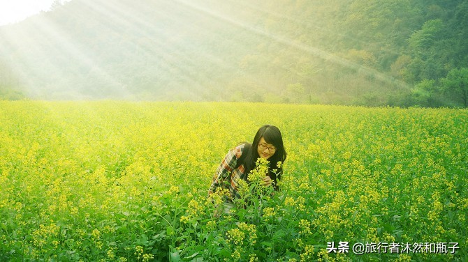 一对夫妻五年前辞职去大理,当初辞职去大理的人现在还好吗