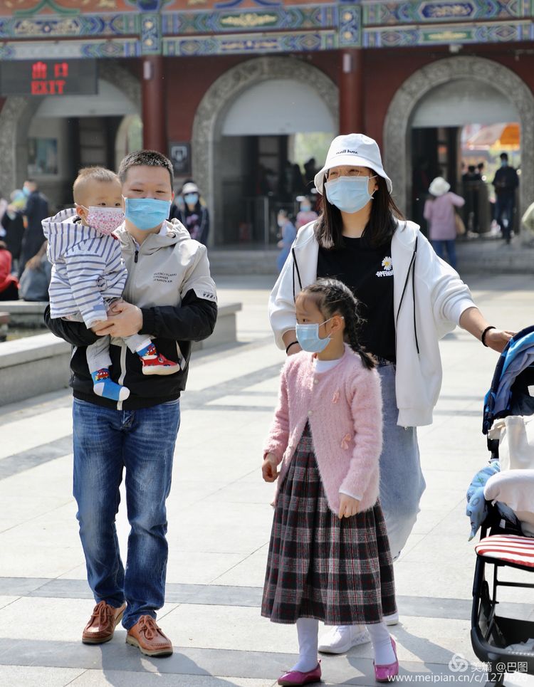 看洛阳牡丹花卉节,洛阳古都牡丹花展
