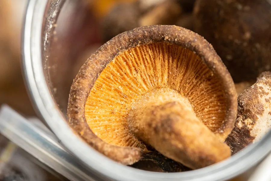 什么牌子的果蔬干最好,冻干果蔬干排行榜