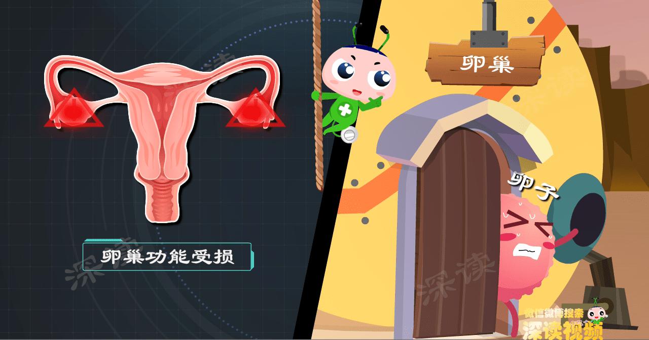 卵巢坠痛白带增多是什么症状,下腹经常会痛白带浅黄色