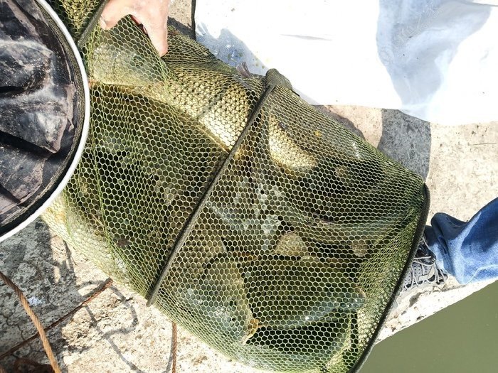 冬季海拉尔一日游攻略最新,海拉尔钓路亚的视频