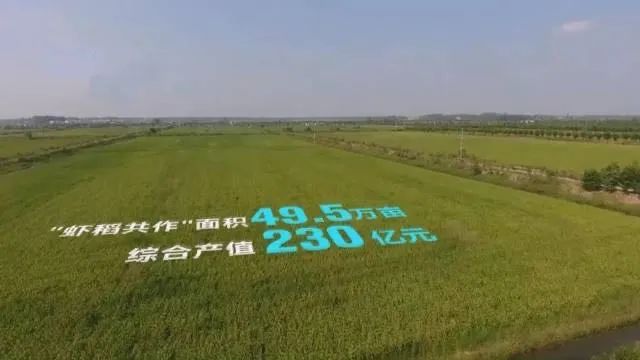 油城乡村风情,油城乡间风情