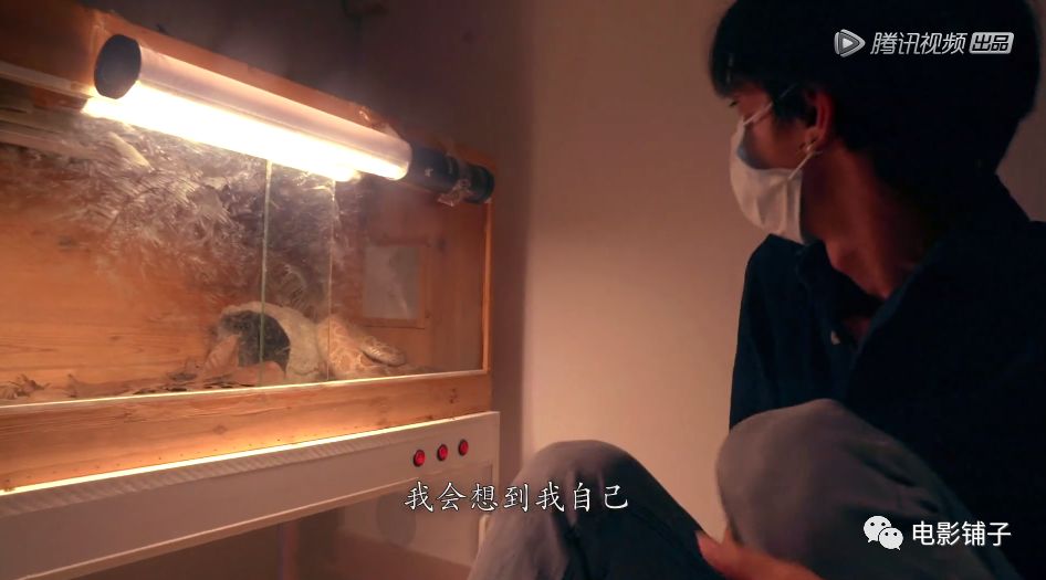 如此「变态」的欲望，这届有钱人真猛