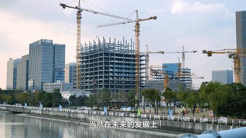 莘庄如何崛起,莘庄没落