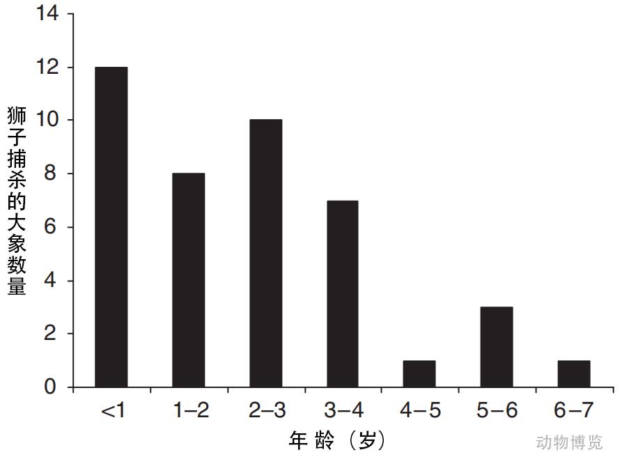 鬣狗猎杀小象,鬣狗攻击小象全过程