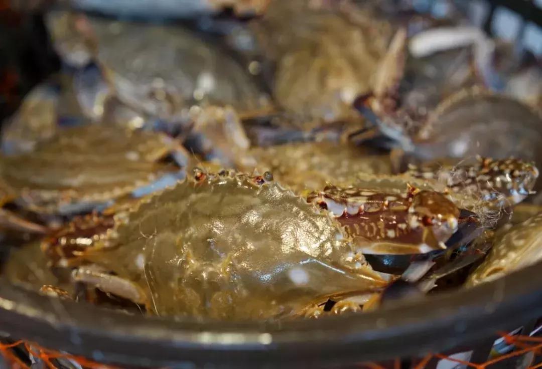 有哪些好吃的咸货,温州咸货