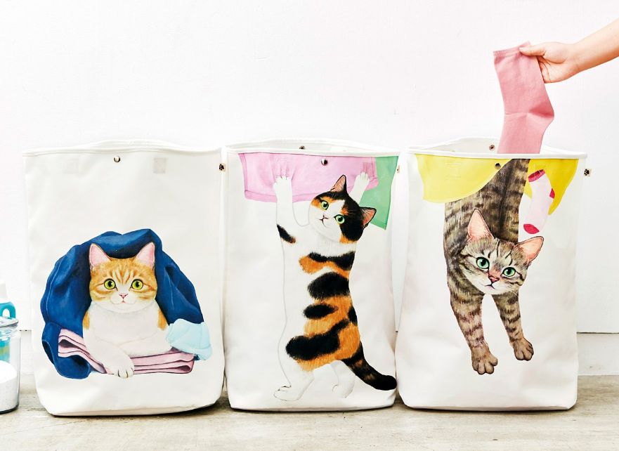 日本人又来骗猫奴们的钱啦！但我心甘情愿掏钱了！