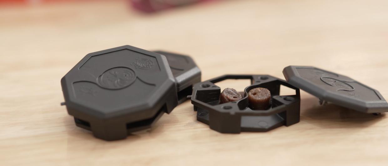 家中厨房蟑螂多怎么消除,家中有蟑螂怎么一网打尽