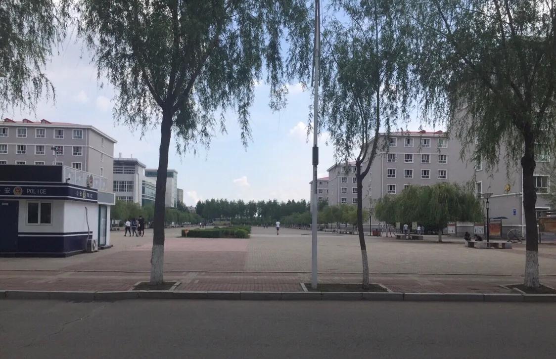 黑龙江建筑职业学院全省排第几名,黑龙江建筑职业技术学院升本名额