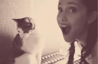 猫可以治疗抑郁症,养猫能治疗抑郁症吗