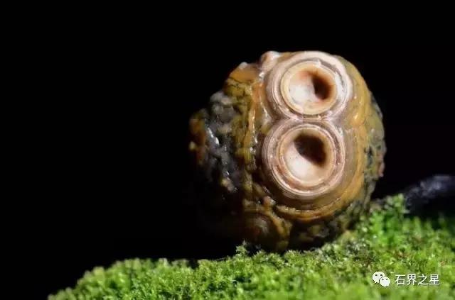 捡到这些石头不要扔,在海边捡到这些石头千万不要丢