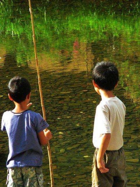 你因为选错浮漂错过了多少鱼?浮漂选择好,鱼获少不了。