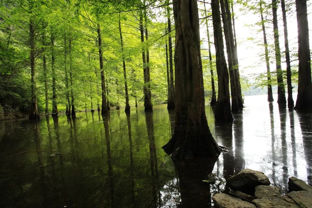 汉中龙池湖攻略,汉中龙池湖简介