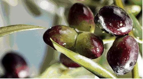 苏宁易购特价家具,苏宁易购百货精选