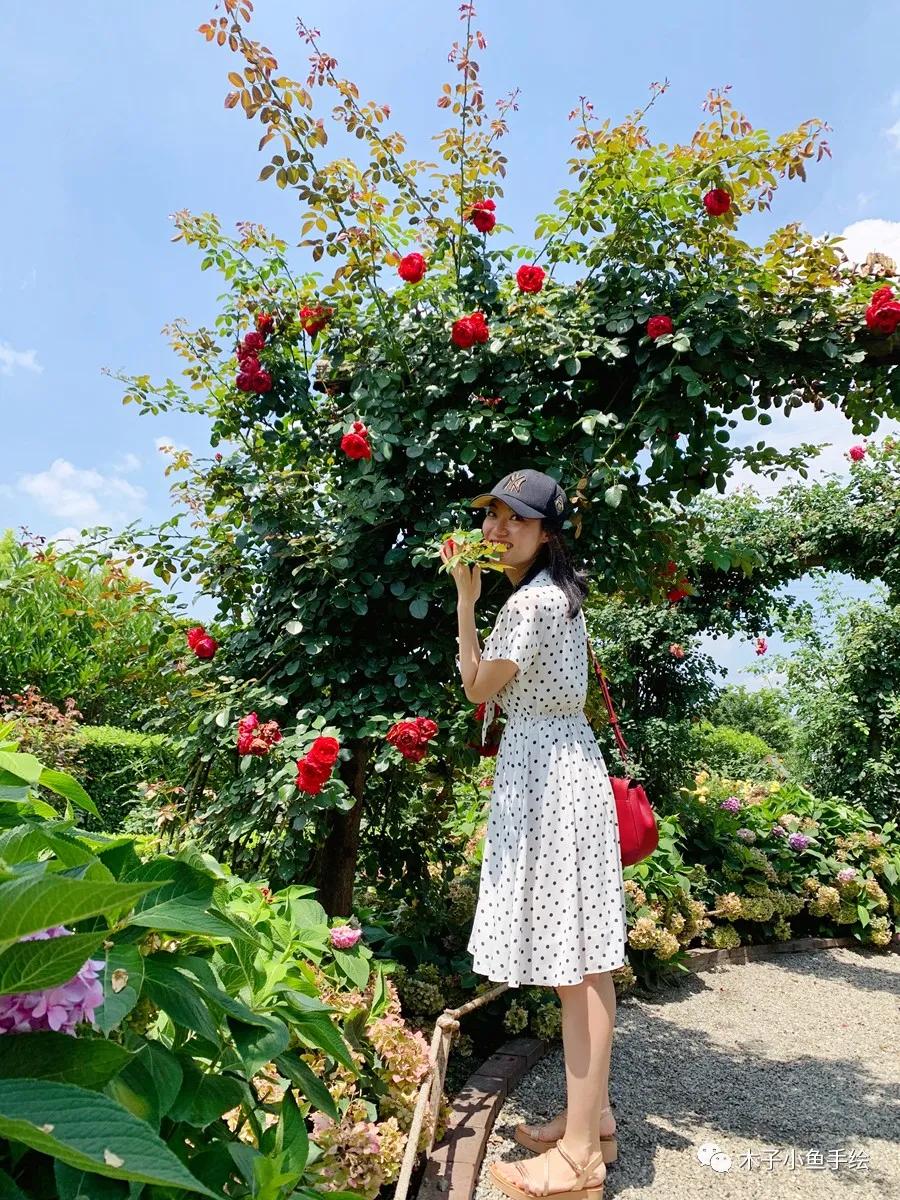 成都四季家园房价多少,四川省成都市的四季