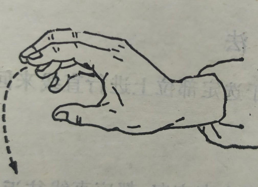 零基础学习中医按摩,零基础学中医按摩