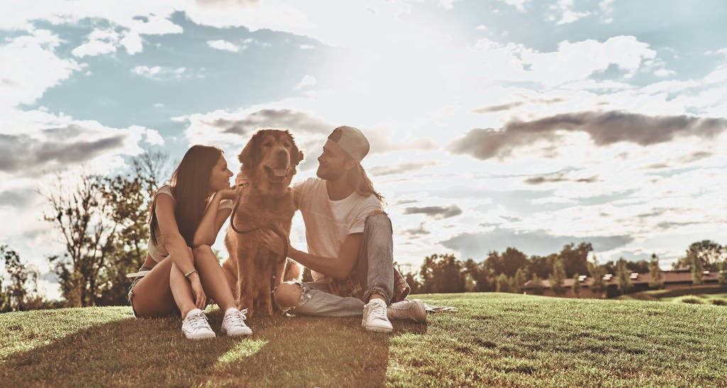 十二月初六桃运如何,十二月桃