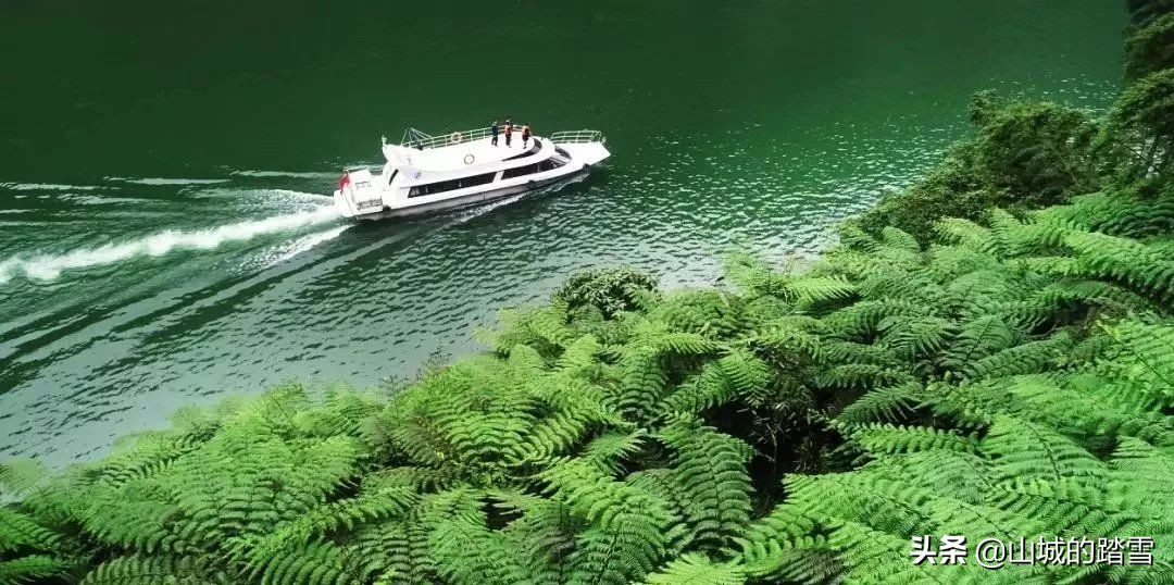 乐山嘉阳小火车值得去吗,嘉阳小火车与乐山大佛相隔多远