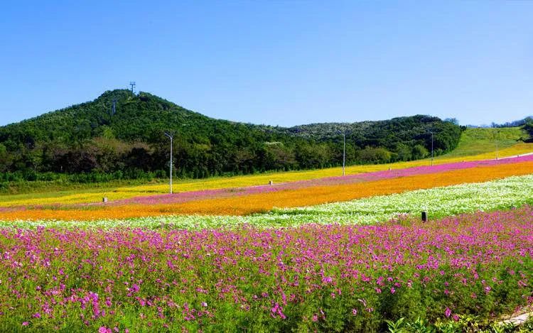 熊猫遛娃共享童车上线大连生态遛娃地—铭湖牧场风景区