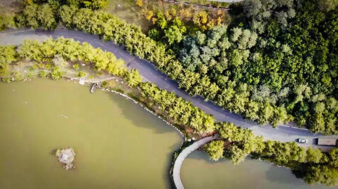 辽宁省高校(三十二)大连外国语大学