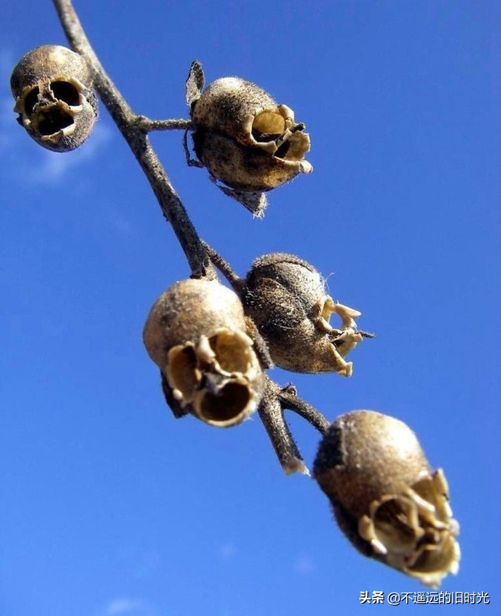 40张你不敢相信自己的眼睛的照片,10张让人怀疑眼睛的图片